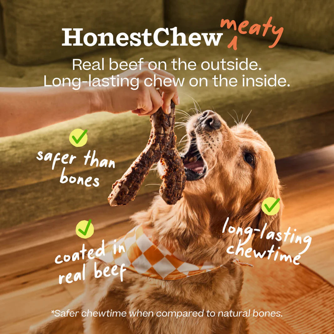 Beef Coated YGnawt HonestChew