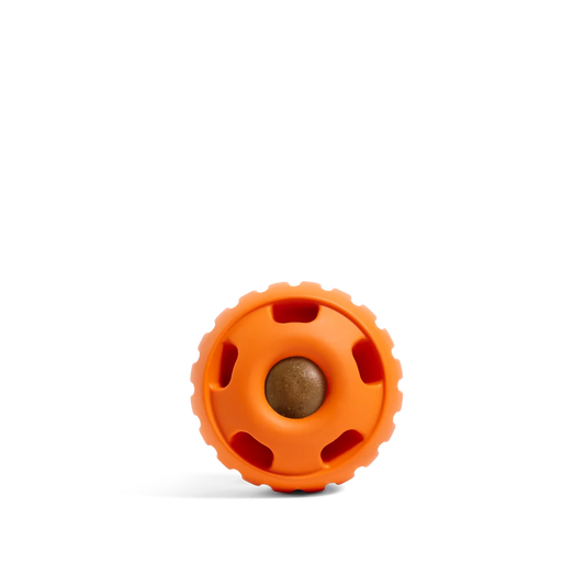 Pumpkin Orange Pupsicle (LIMITED TIME)