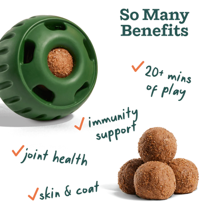 WOOF  Wellness Pops All in One