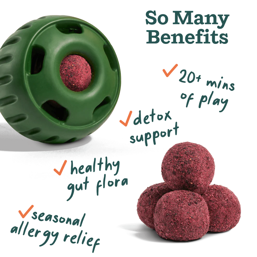 WOOF Allergy & Immunity Pops