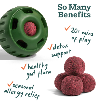 WOOF Allergy & Immunity Pops