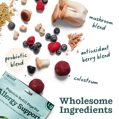 WOOF Allergy & Immunity Pops