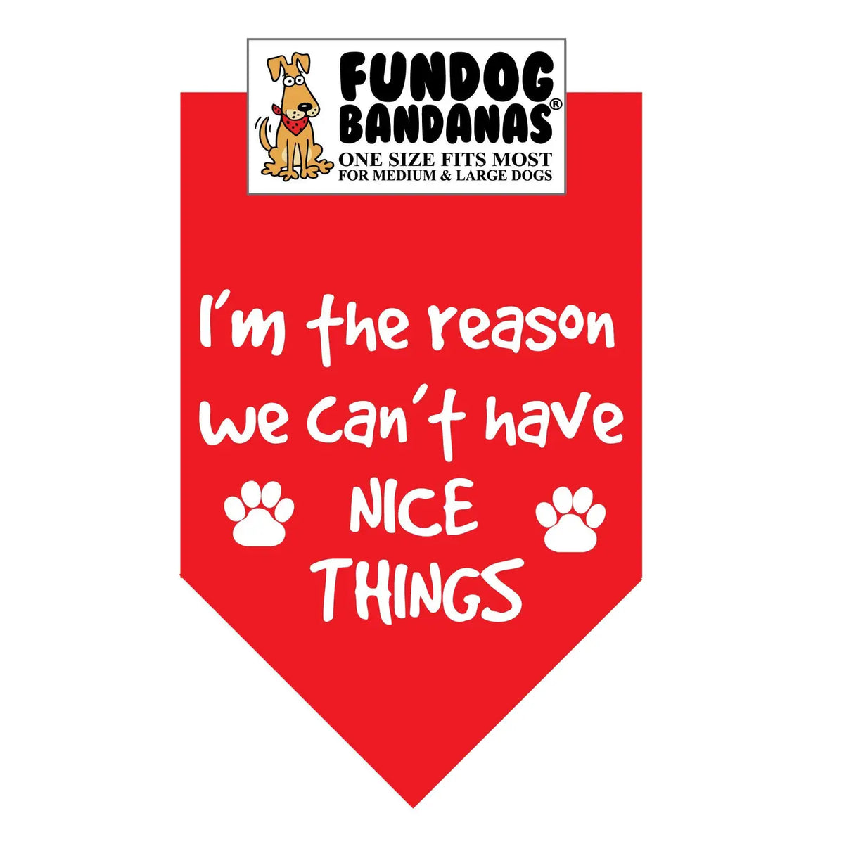 I'm The Reason We Can't Have Nice Things - Bandana