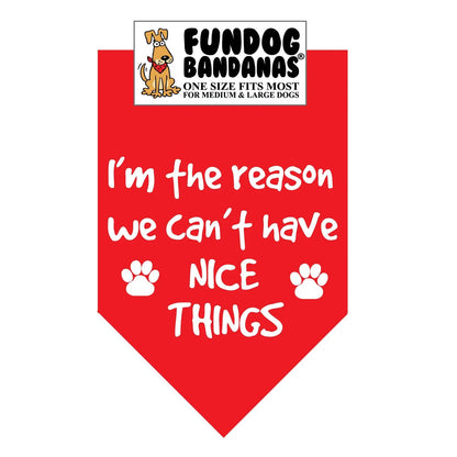 I'm The Reason We Can't Have Nice Things - Bandana