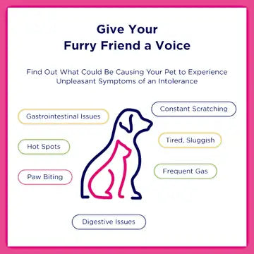 Ucari Intolerance Test for Pets