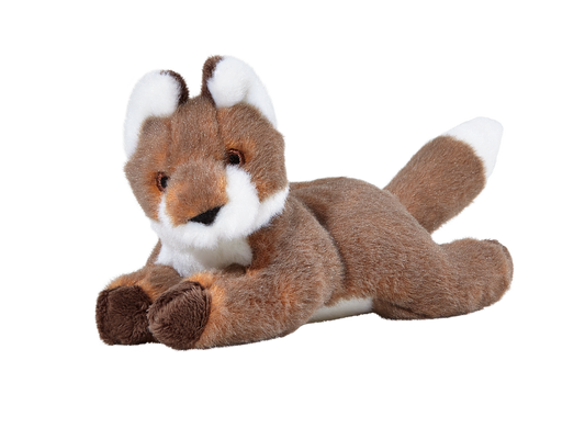 Anderson Fox
