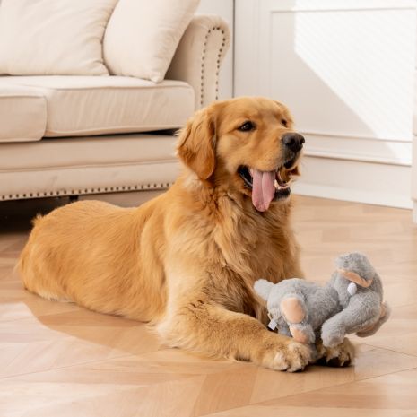 ANIMATED ELEPHANT 8" PLUSH DOG TOY