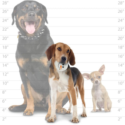 Mighty Ball-Snowball Squeaky Dog Toy, No Stuffing (SMALL)