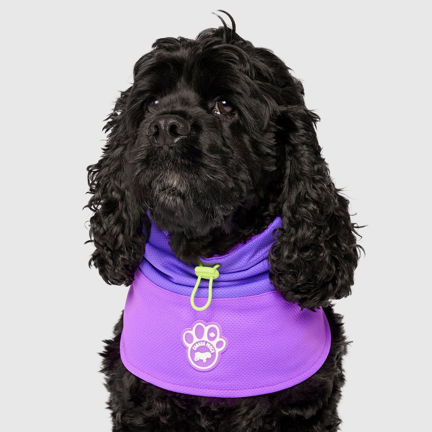 Max Chill Cooling Snood - Purple
