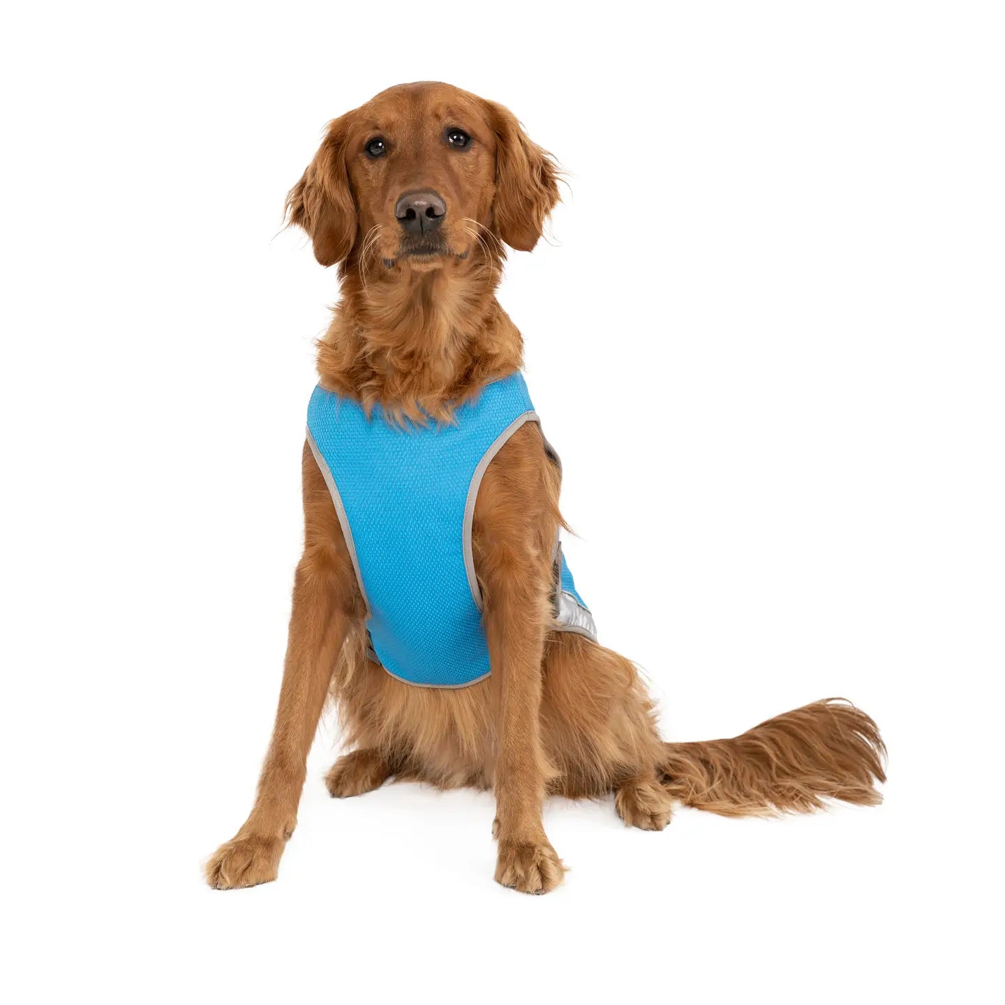 Chill Seeker Dog Cooling Vest Blue