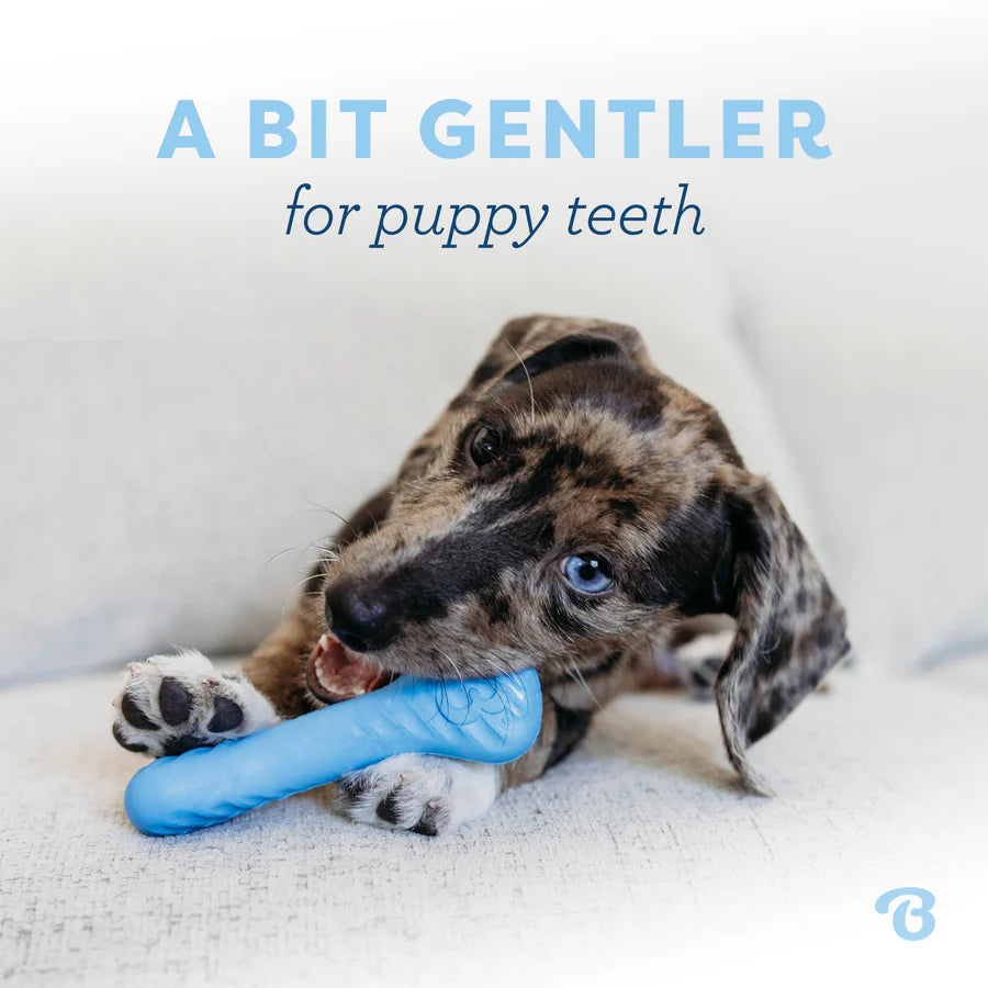 Benebone Puppy 2 Pk