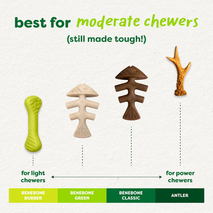 Green Fishbone Plant-Based Dog Chew