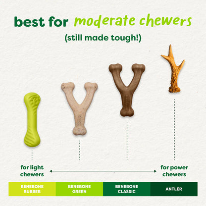 Green Wishbone Bacon Plant-Based Dog Chew
