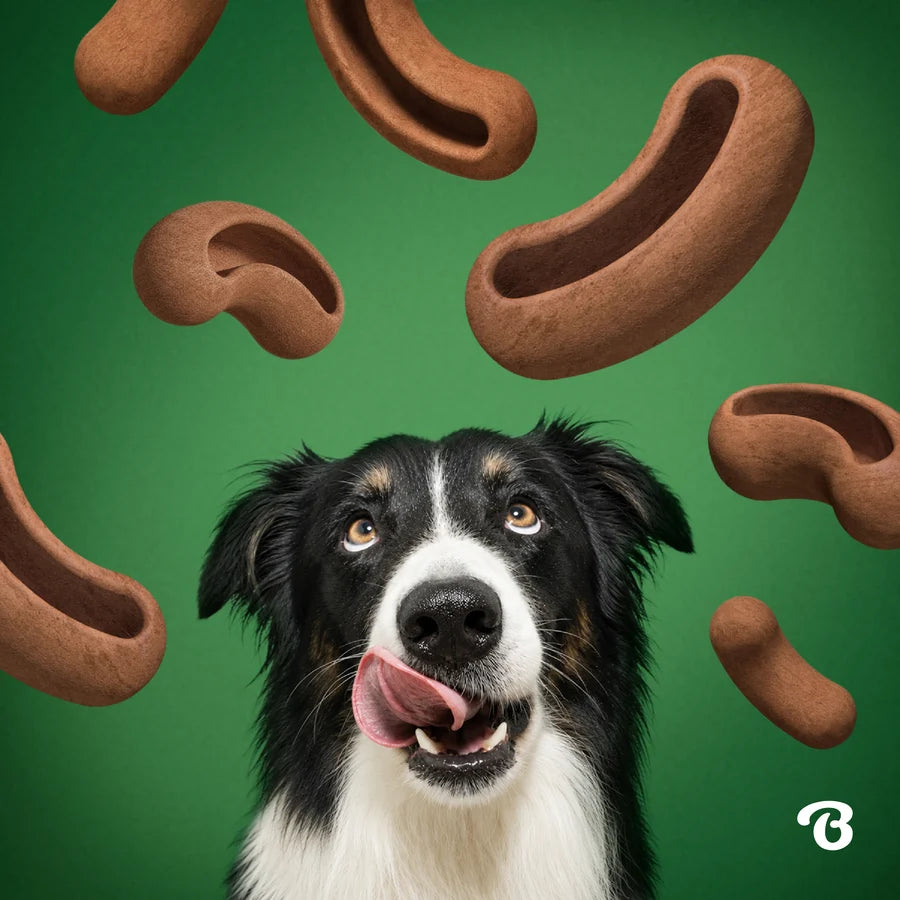 Treat Pod refills for tongue twister toy - Bacon Flavor