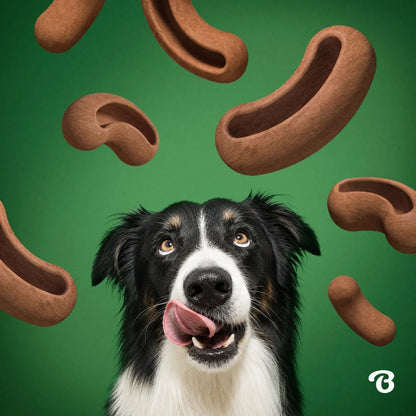 Treat Pod refills for tongue twister toy - Bacon Flavor