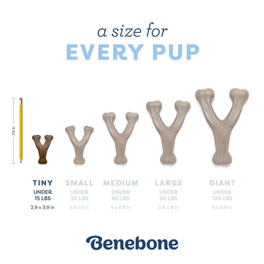 Benebone Puppy 2 Pk