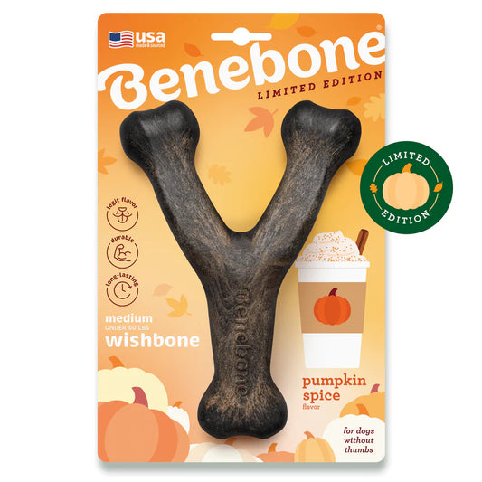 Benebone Pumpkin Spice Medium Wishbone