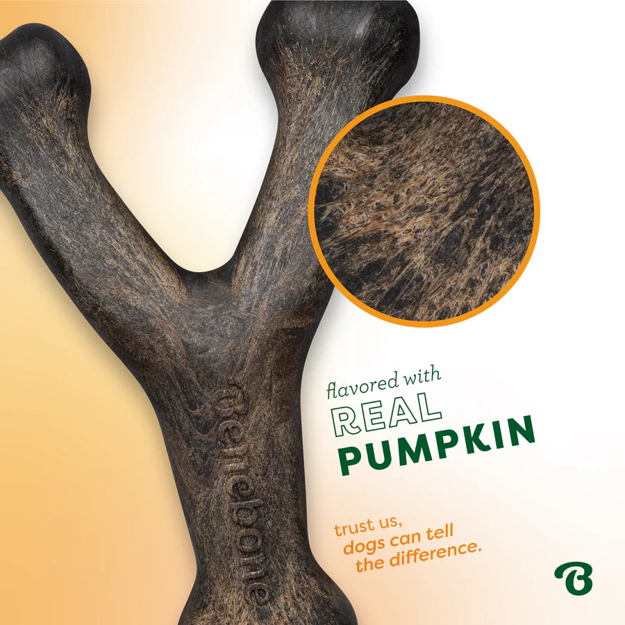 Benebone Pumpkin Spice Medium Wishbone