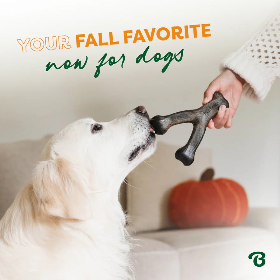 Benebone Pumpkin Spice Medium Wishbone