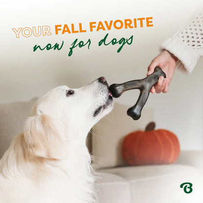 Benebone Pumpkin Spice Medium Wishbone