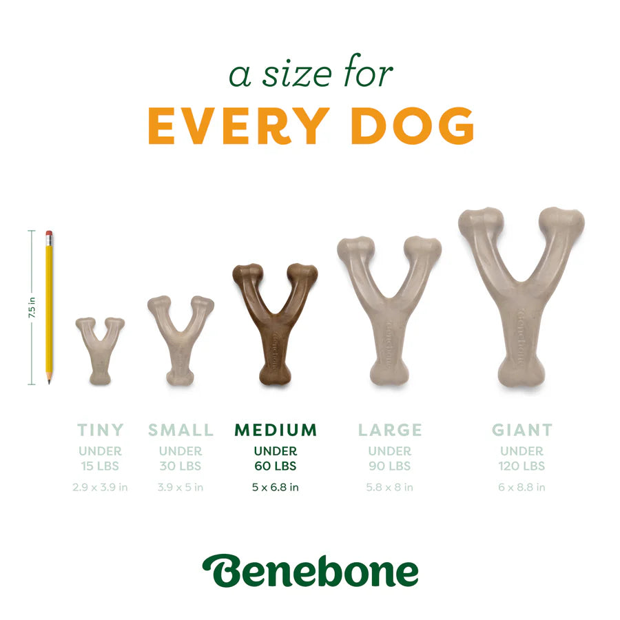 Benebone Pumpkin Spice Medium Wishbone