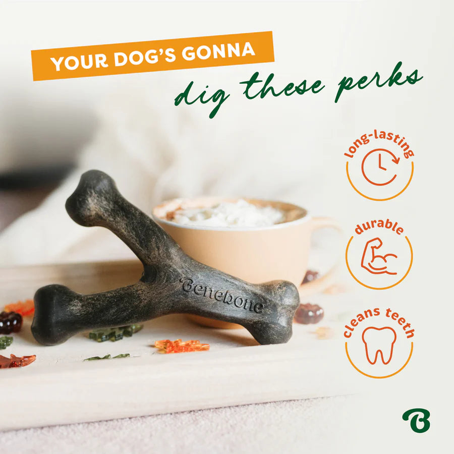 Benebone Pumpkin Spice Medium Wishbone