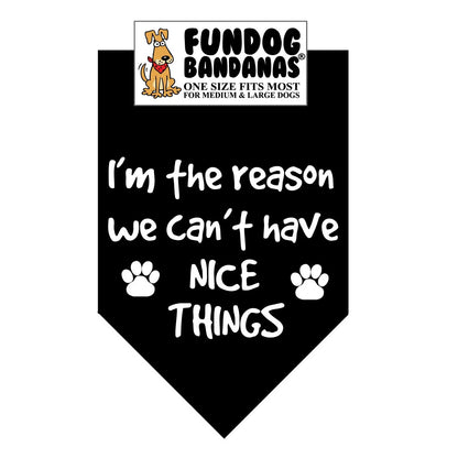 I'm The Reason We Can't Have Nice Things - Bandana