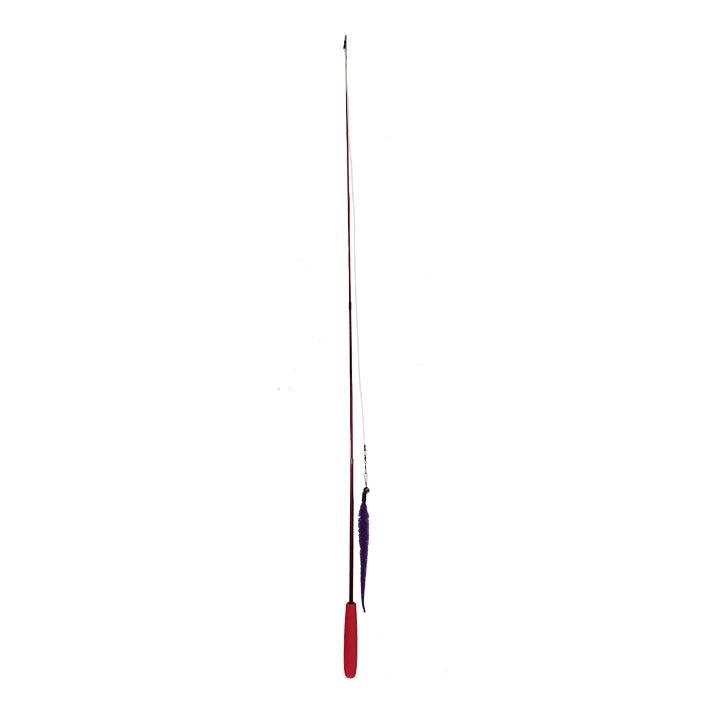 Wiggly Wand Cat Toy