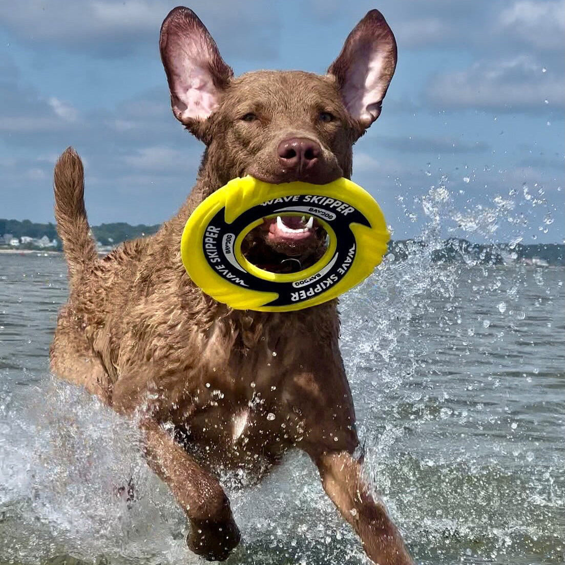 Wave Skipper