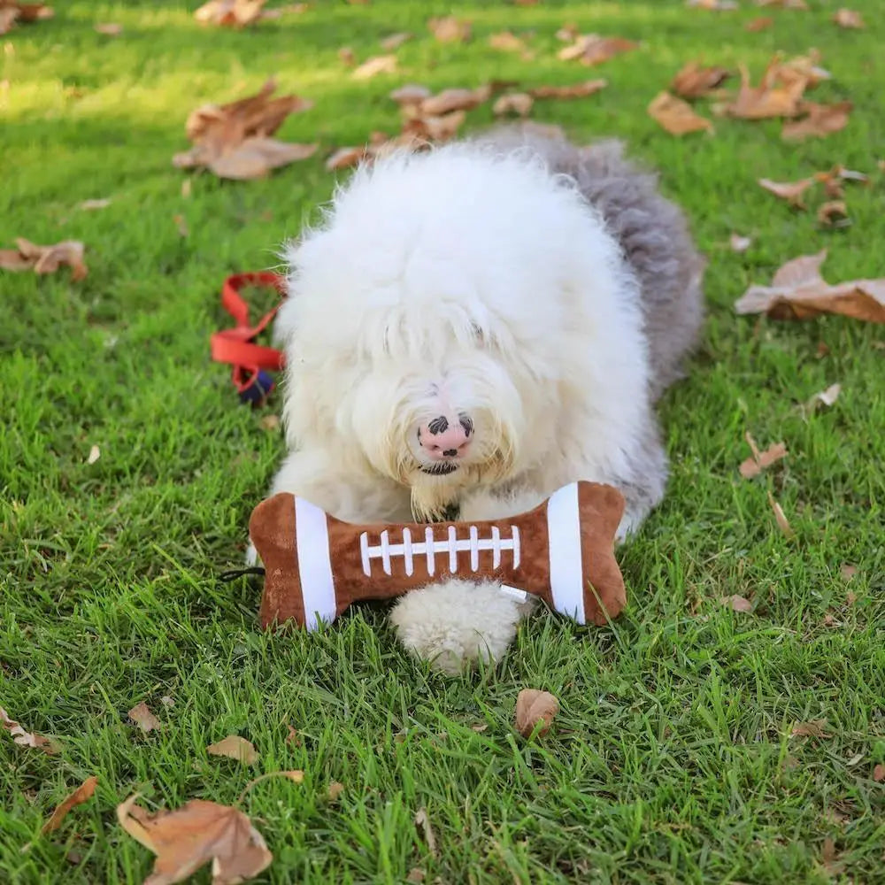 Football Plush Bone