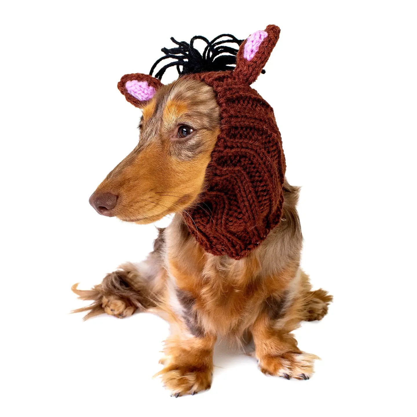 Dog Snood