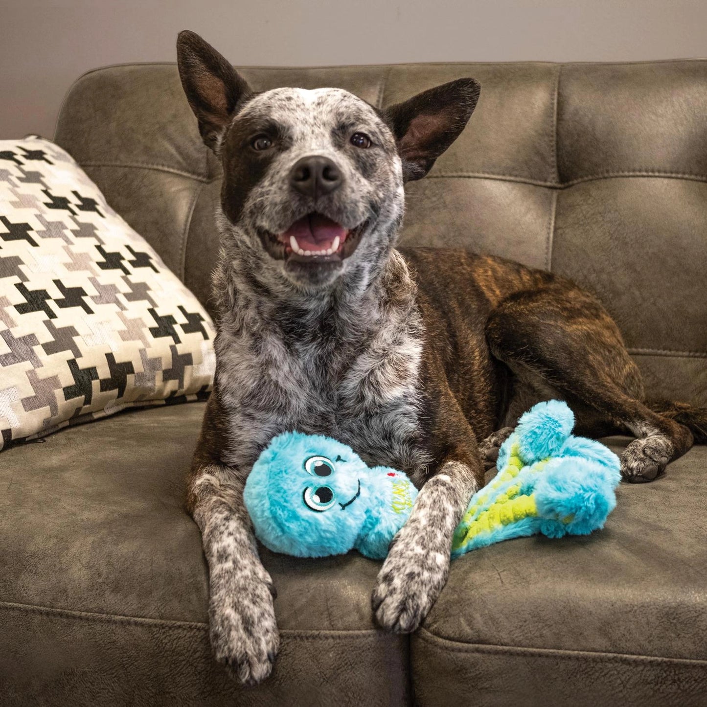 Kong® Wubba Octopus Dog Tug Toy Assorted Small