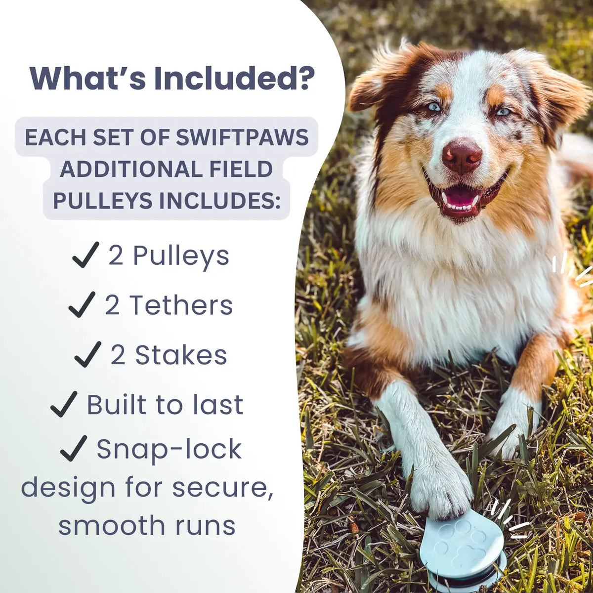 Pully Pack - 2pk for Chase Expansion