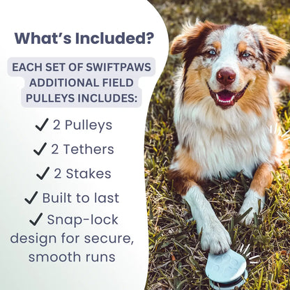 Pully Pack - 2pk for Chase Expansion