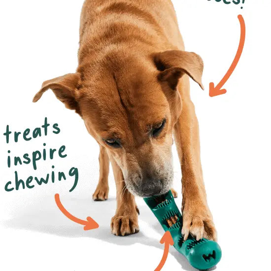 WOOF Dog Bite N Brush (Large)
