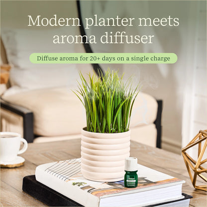 Plant Diffuser - Grass Plant - Bubble White