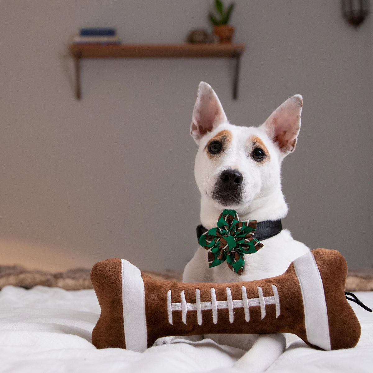 Football Plush Bone
