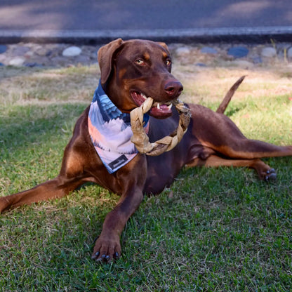 Braided Lamb Collagen Ring