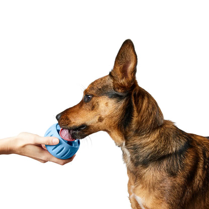 WOOF DOG PUPSICLE Exclusive Color (LIGHT BLUE)