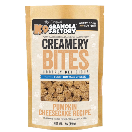 Creamery BITES, Pumpkin Cheesecake Recipe