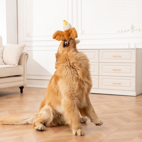 FLING AND FETCH EAGLE DOG TOY