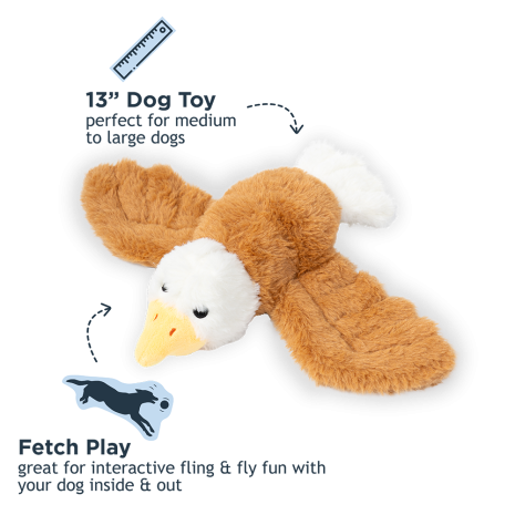 FLING AND FETCH EAGLE DOG TOY