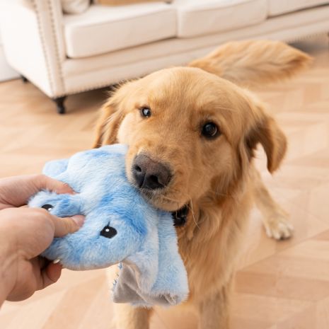 ANIMATED MANTA RAY 8" PLUSH DOG TOY