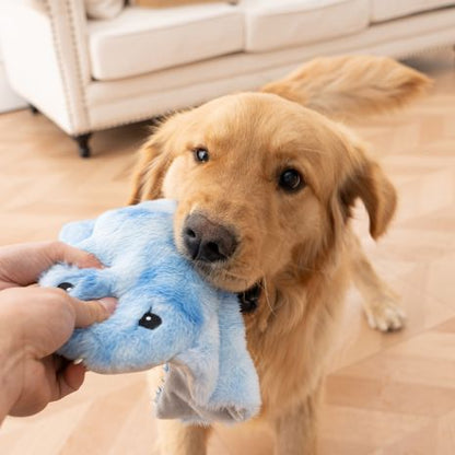 ANIMATED MANTA RAY 8" PLUSH DOG TOY